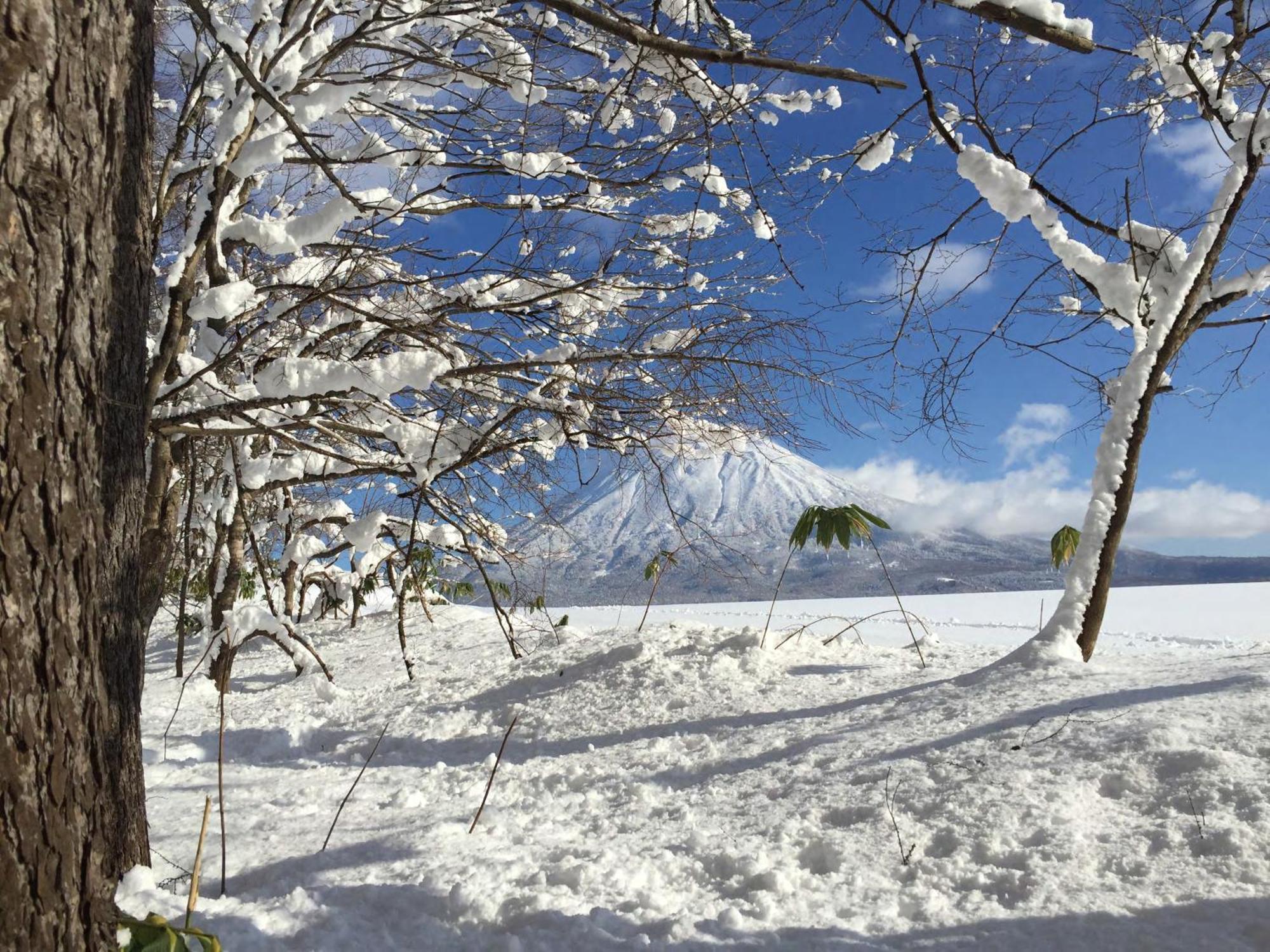 Hotel Andaru Collection Niseko Kutčan Exteriér fotografie